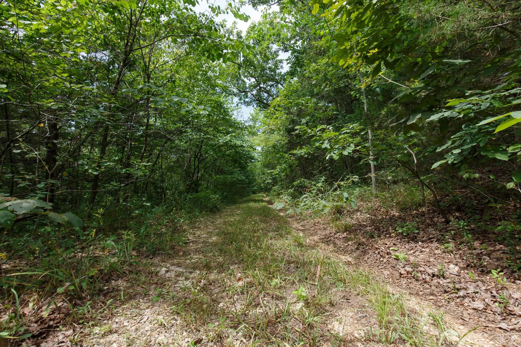 Spring Lake Plat 5 Tract 298 in Miller County, MO
