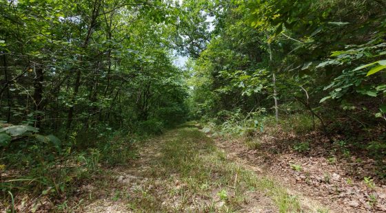Spring Lake Plat 5 Tract 298 in Miller County, MO