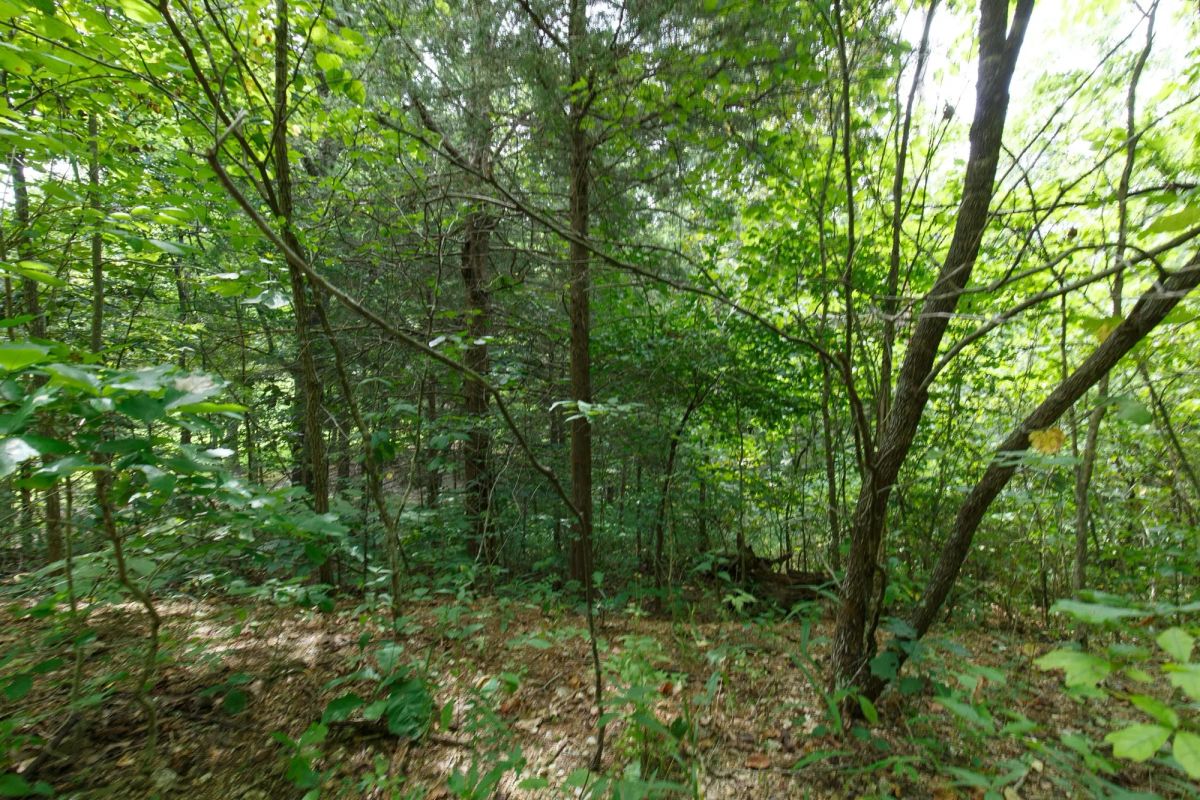 Spring Lake Plat 5 Tract 298 - Image 3