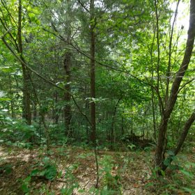 Spring Lake Plat 5 Tract 298 in Miller County, MO