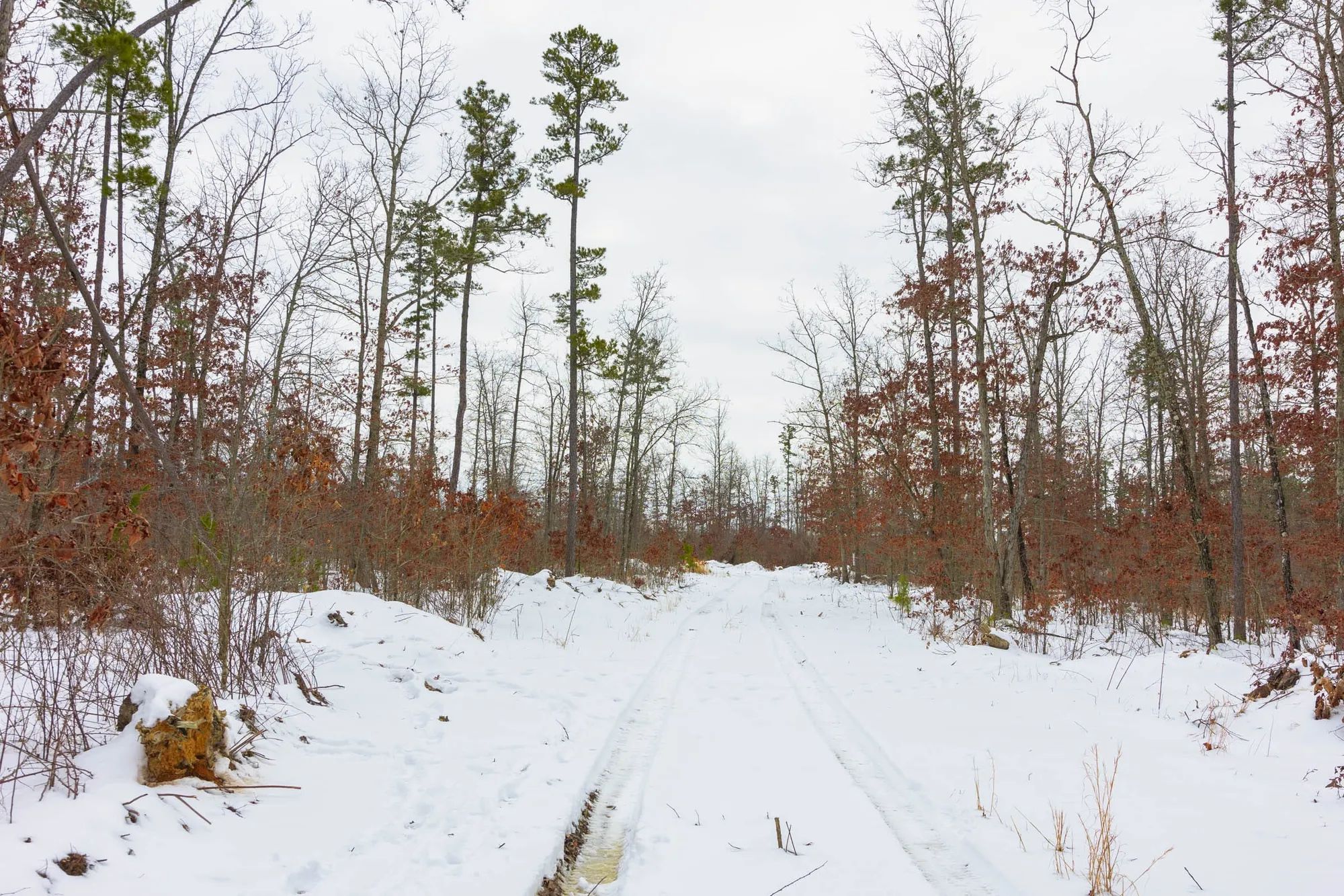 Sleepy Hollow Phase I Tract 9 in Texas County, MO