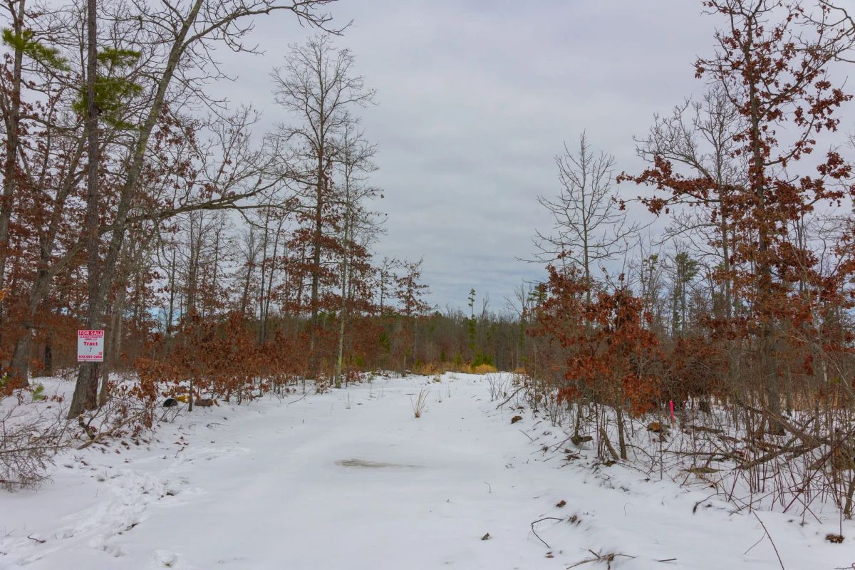 Decorative background for Sleepy Hollow Phase I Tract 9 image 10