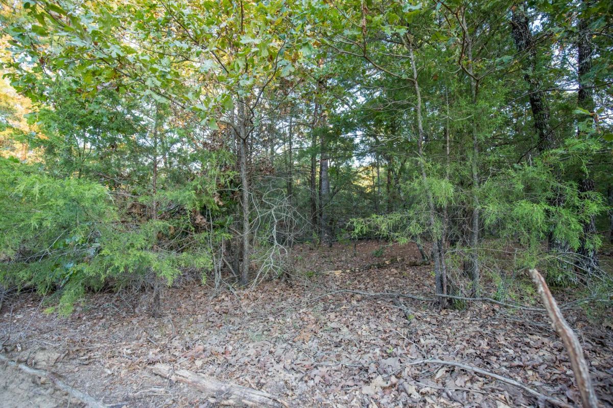 Stone Bridge Phase I Tract 66 - Image 3