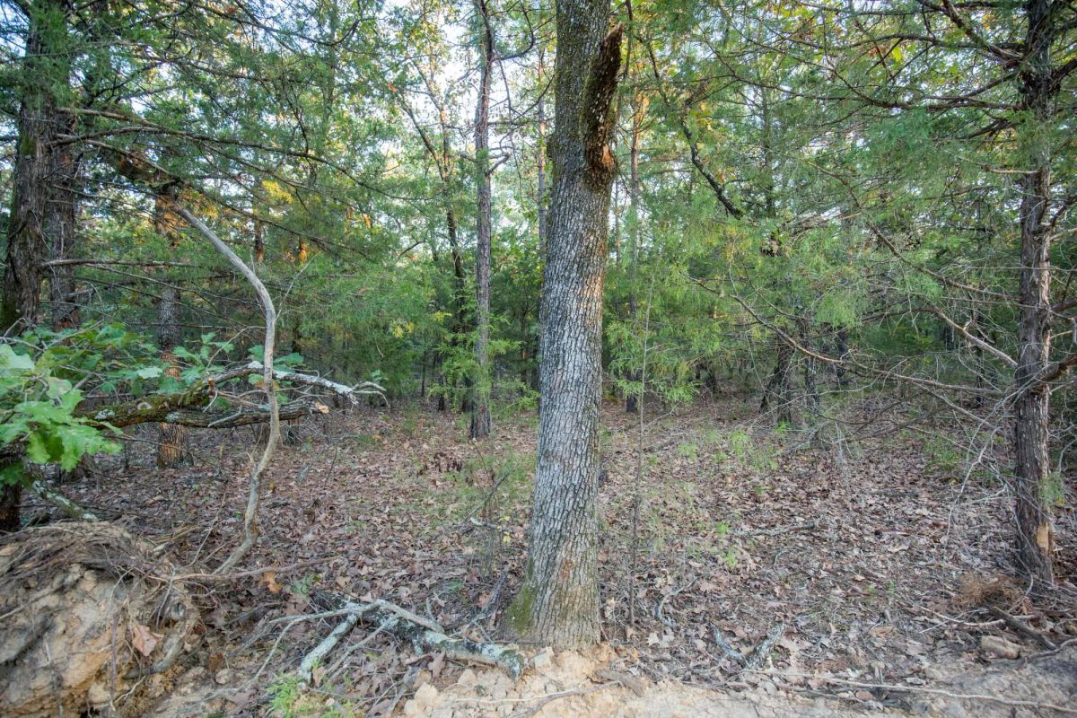 Stone Bridge Phase I Tract 66 - Image 4