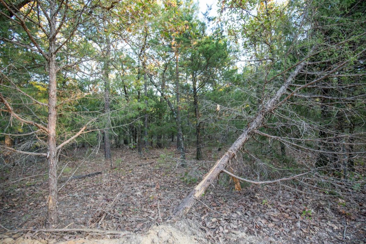 Decorative background for Stone Bridge Phase I Tract 66 image 5