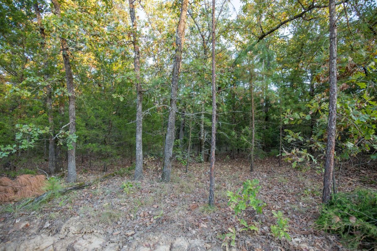 Decorative background for Stone Bridge Phase I Tract 66 image 7