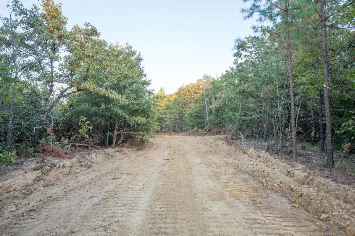 Decorative background for Stone Bridge Phase I Tract 66 image 9