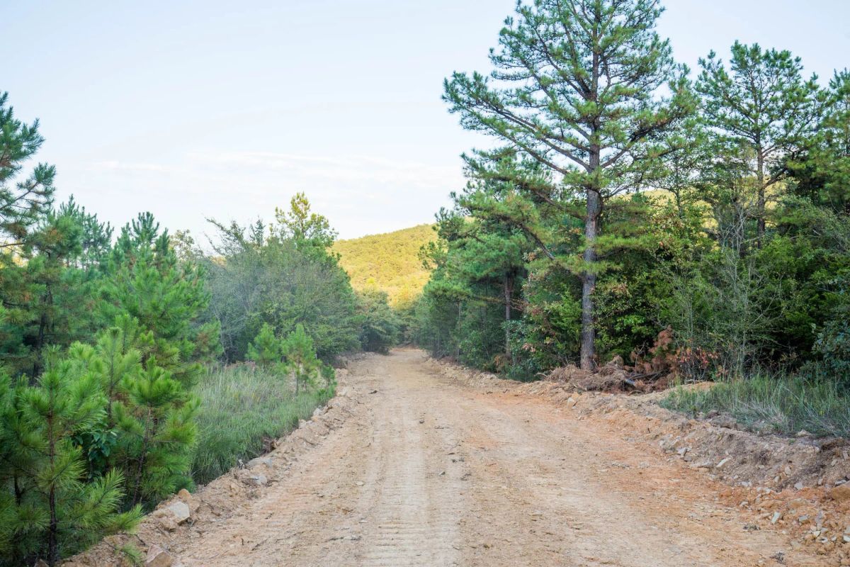 Decorative background for Stone Bridge Phase I Tract 66 image 10