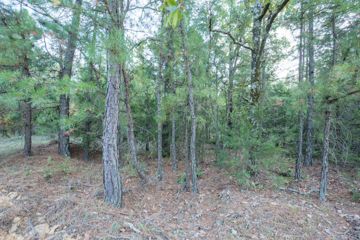 Decorative background for Stone Bridge Phase I Tract 66 image 12