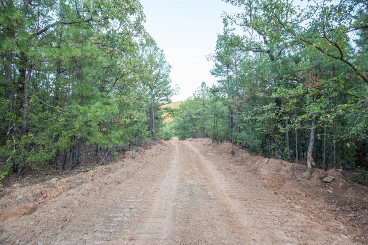Decorative background for Stone Bridge Phase I Tract 66 image 15