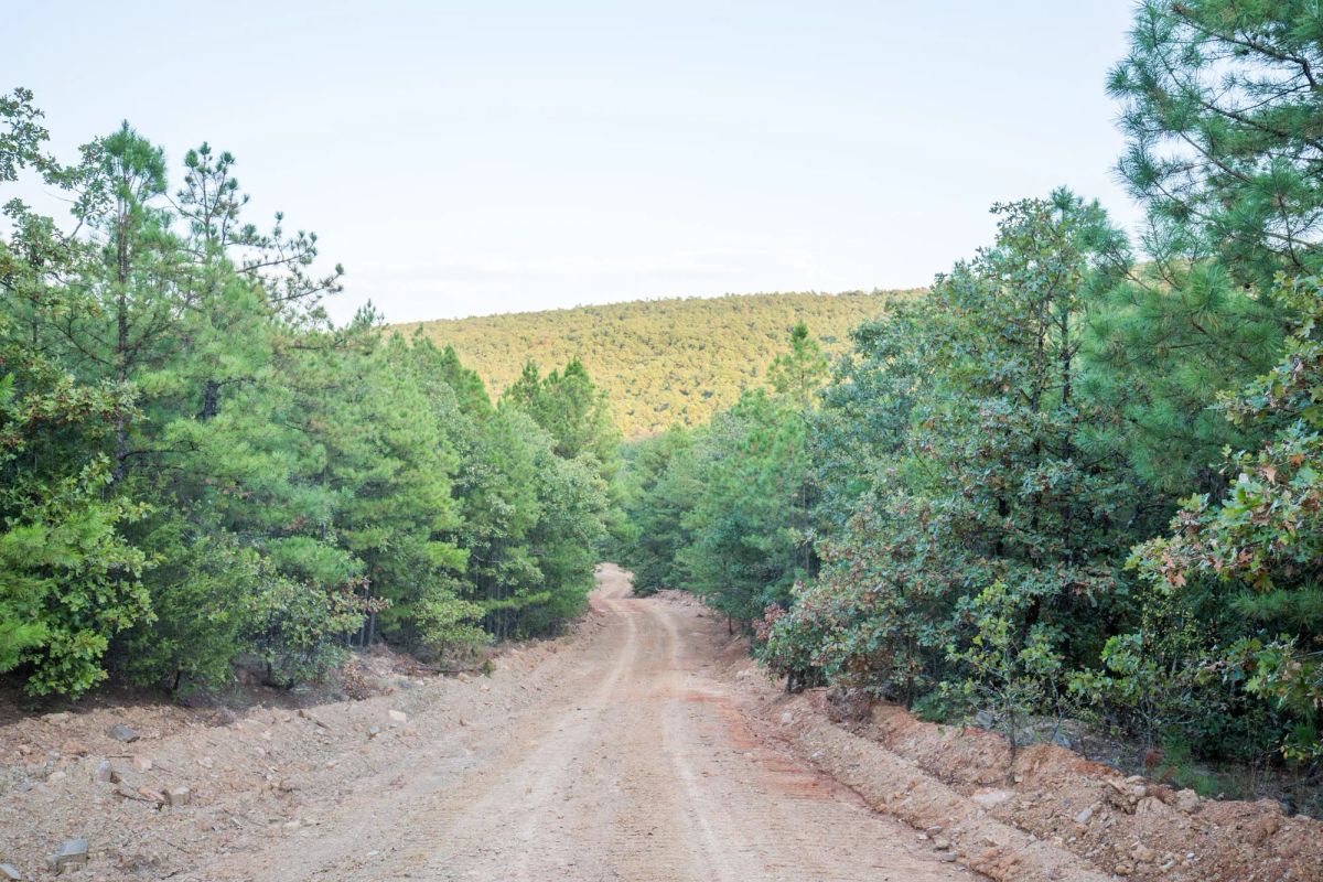 Decorative background for Stone Bridge Phase I Tract 66 image 16