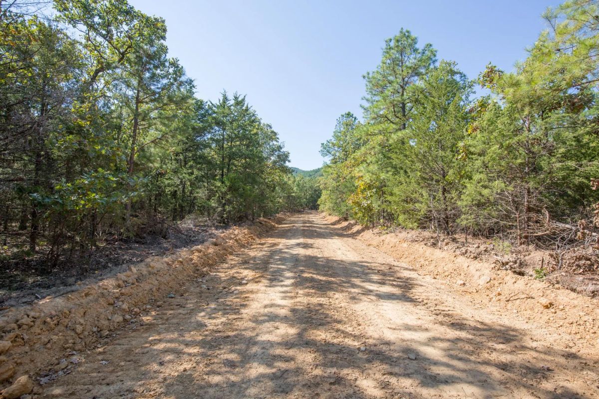 Decorative background for Stone Bridge Phase I Tract 66 image 20