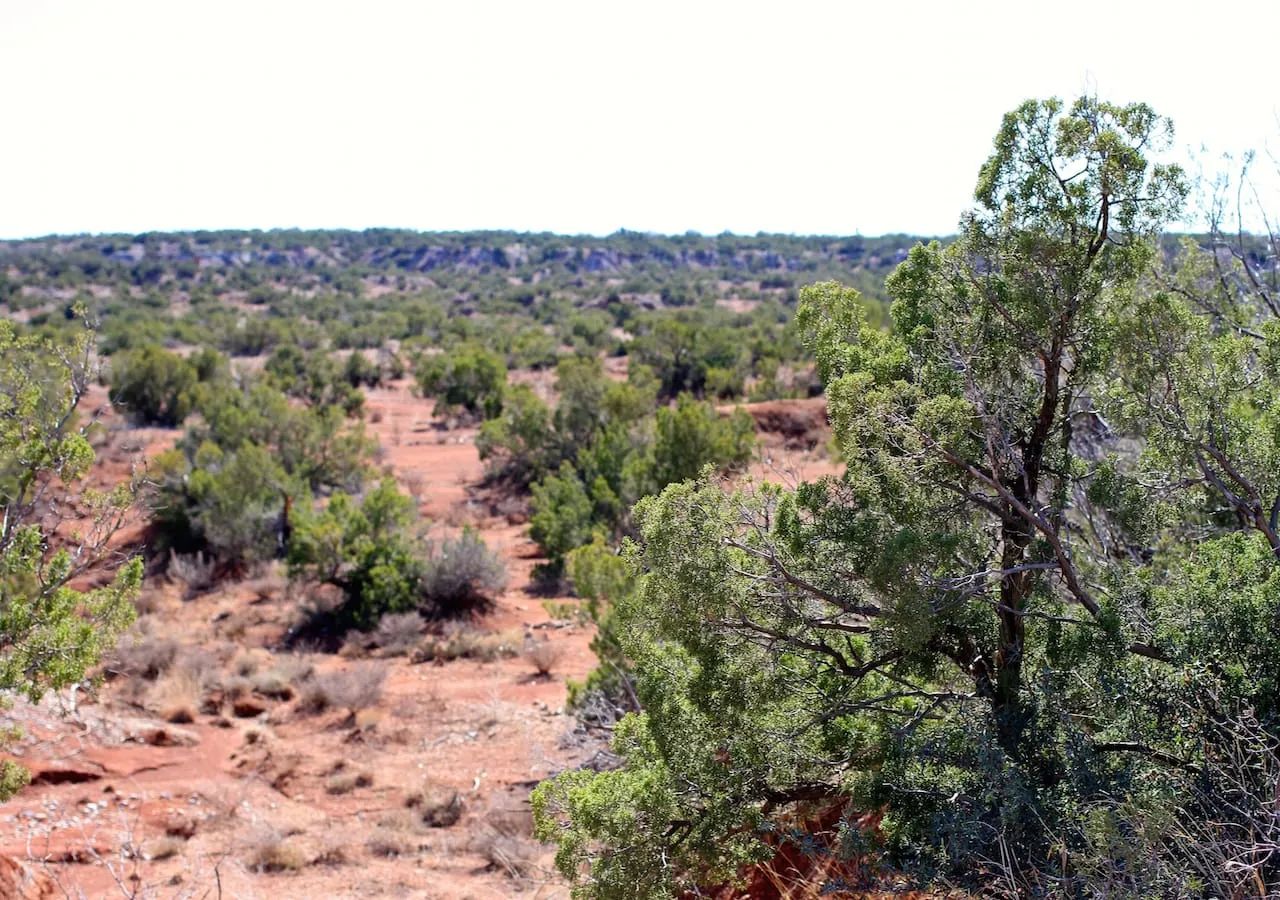 Red Rock Ranch Tract 13 in Knox County, TX