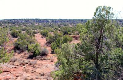 Red Rock Ranch Tract 13