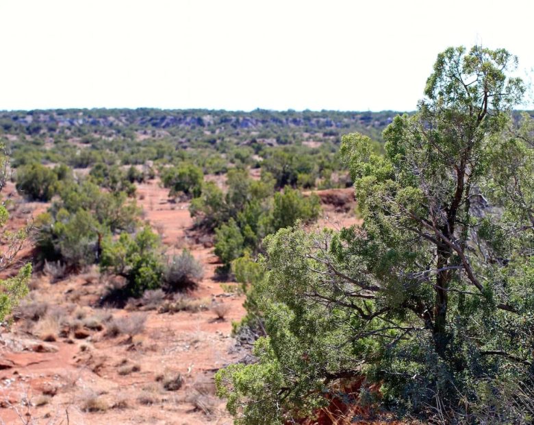 Red Rock Ranch Tract 13 in Knox County, TX