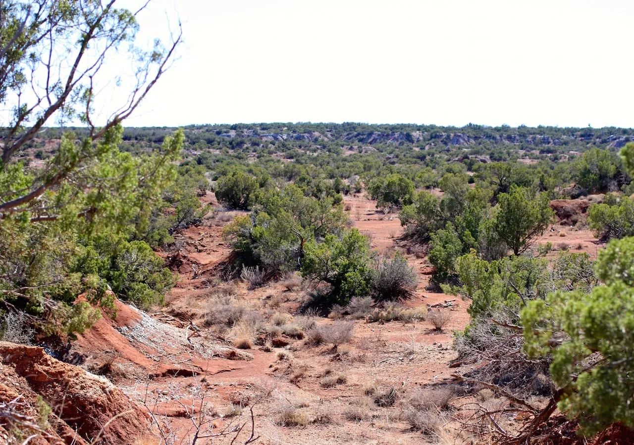 Red Rock Ranch Tract 13 in Knox County, TX