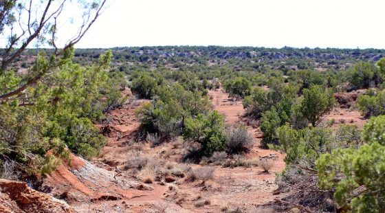 Red Rock Ranch Tract 13 in Knox County, TX