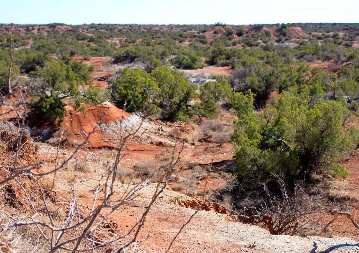 Decorative background for Red Rock Ranch Tract 13 image 5