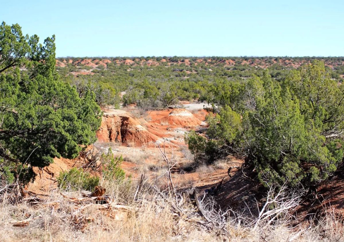 Decorative background for Red Rock Ranch Tract 13 image 7