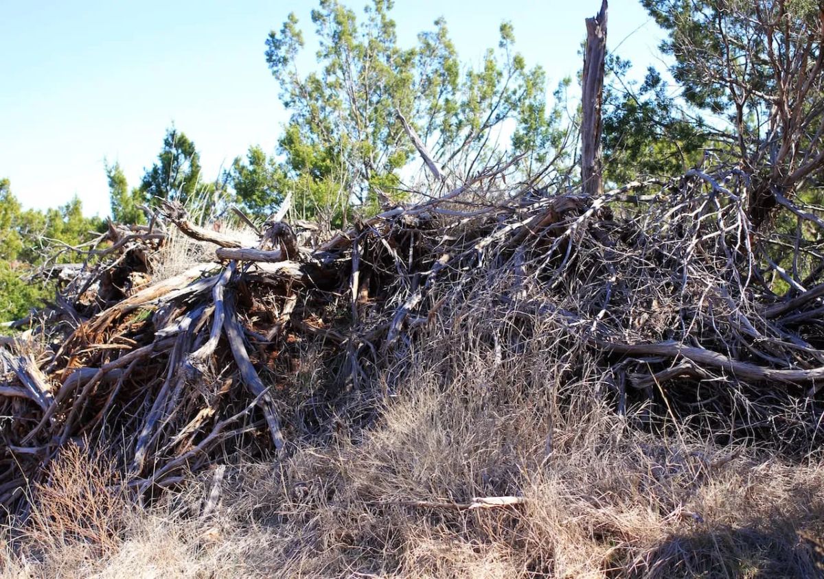 Decorative background for Red Rock Ranch Tract 13 image 8