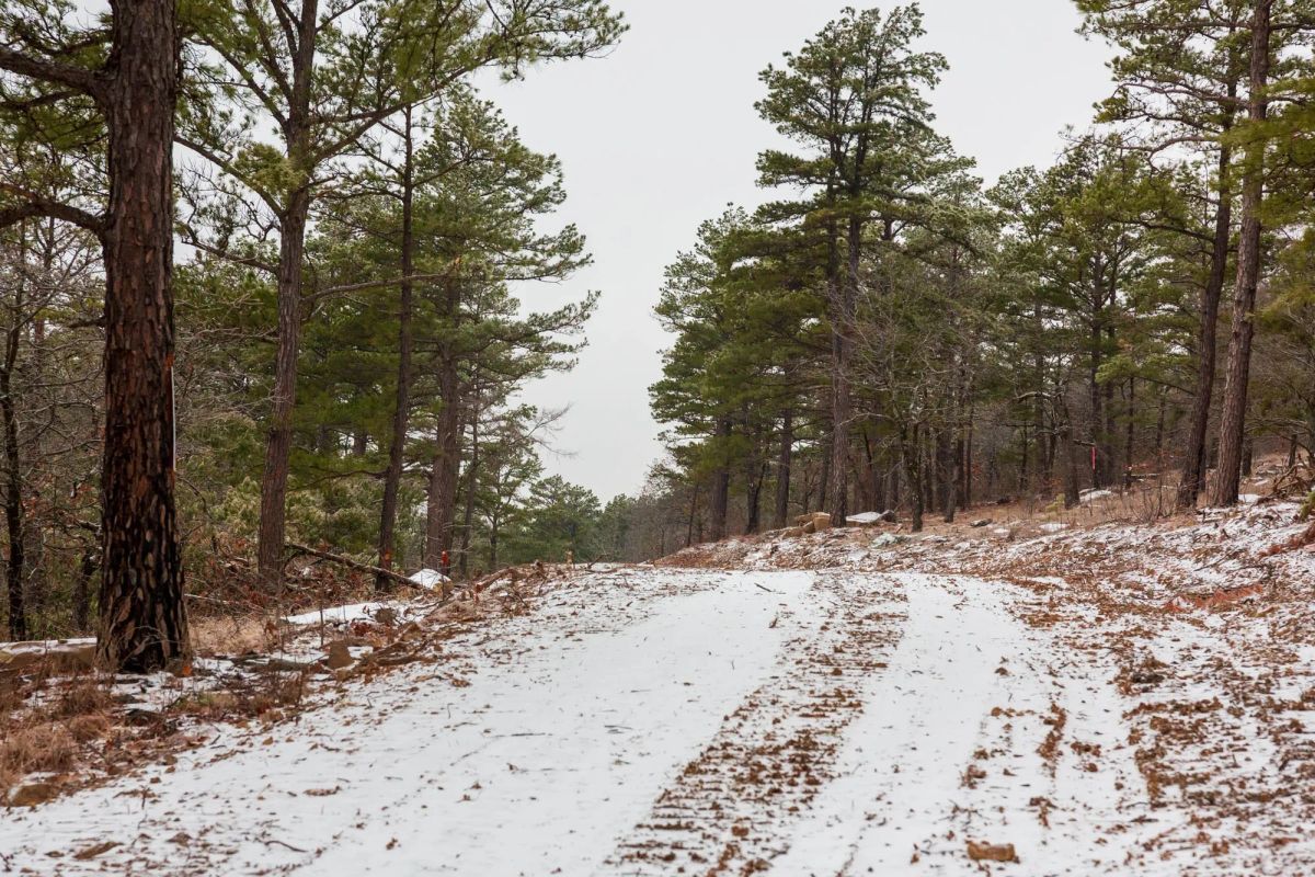 Stone Bridge Phase IV Tract 258 - Image 2
