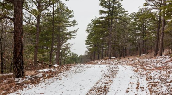 Stone Bridge Phase IV Tract 258 in Latimer County, OK