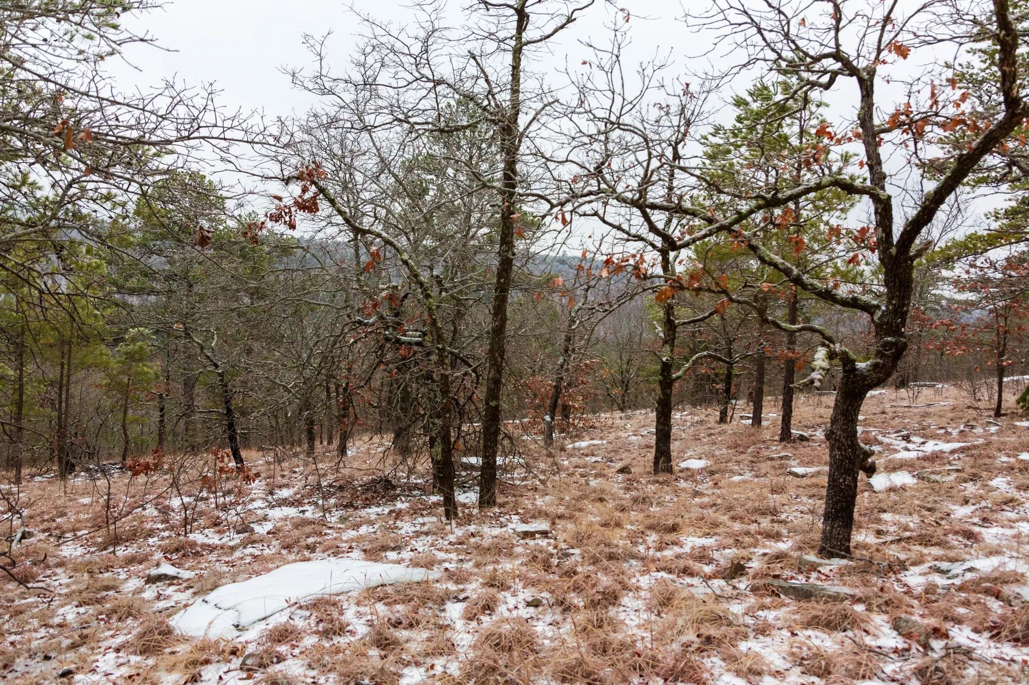 Stone Bridge Phase IV Tract 258 in Latimer County, OK