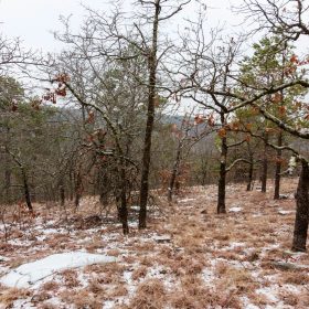 Stone Bridge Phase IV Tract 258 in Latimer County, OK