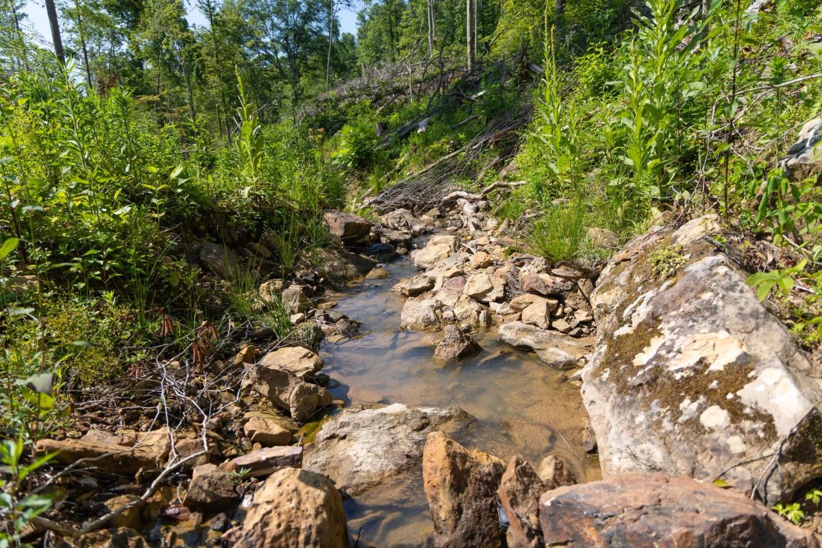 Creek Hollow Phase II Tract 74 - Main image