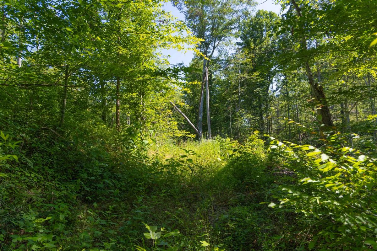 Creek Hollow Phase II Tract 74 - Image 2