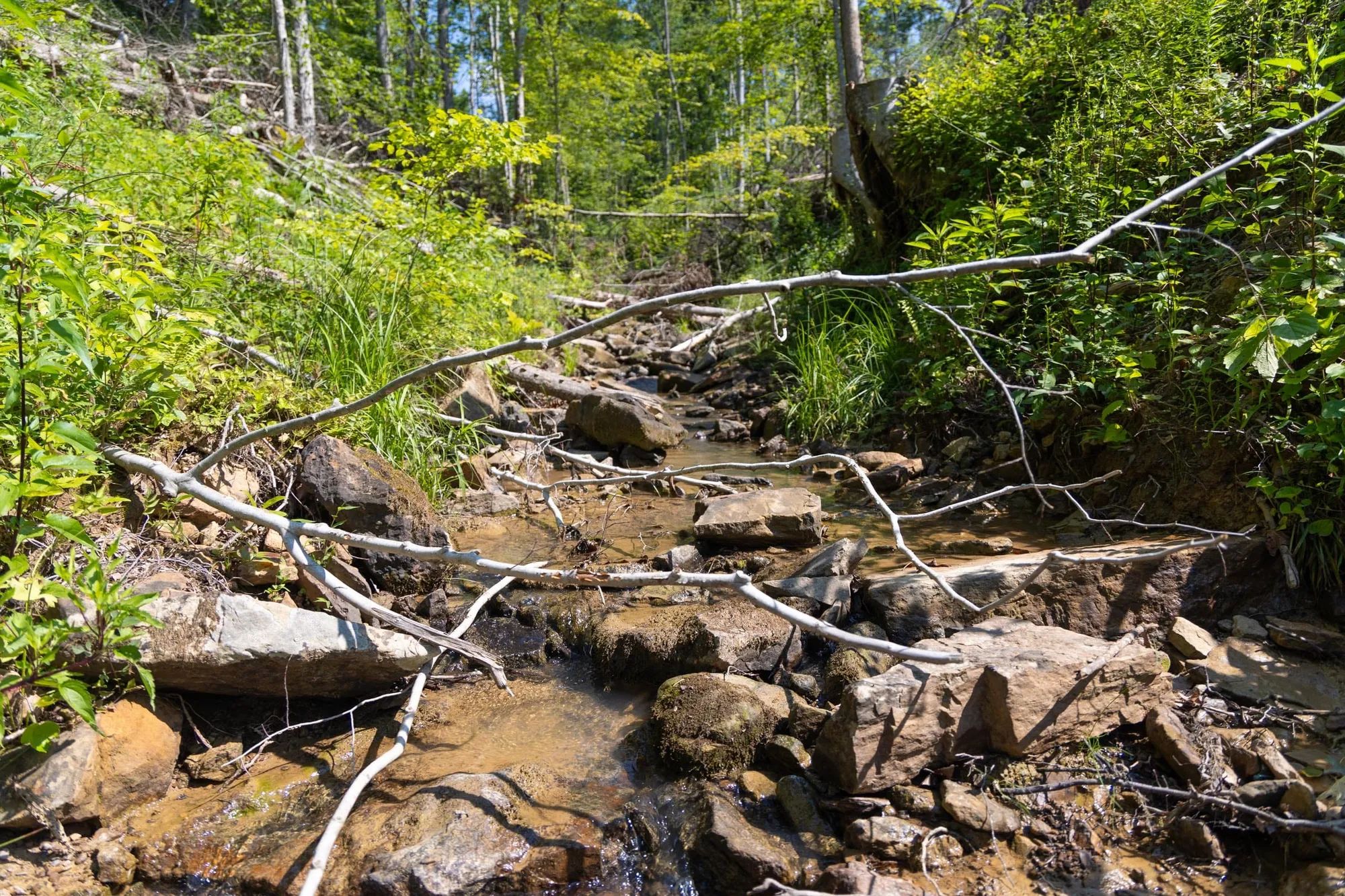 Creek Hollow Phase II Tract 74 in Rockcastle County, KY
