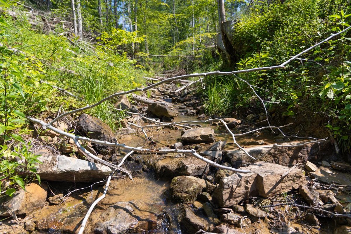 Creek Hollow Phase II Tract 74 - Image 4