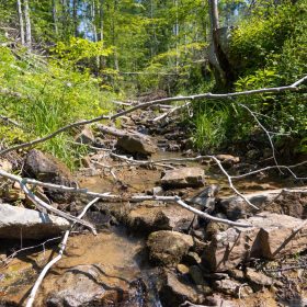 Creek Hollow Phase II Tract 74 in Rockcastle County, KY