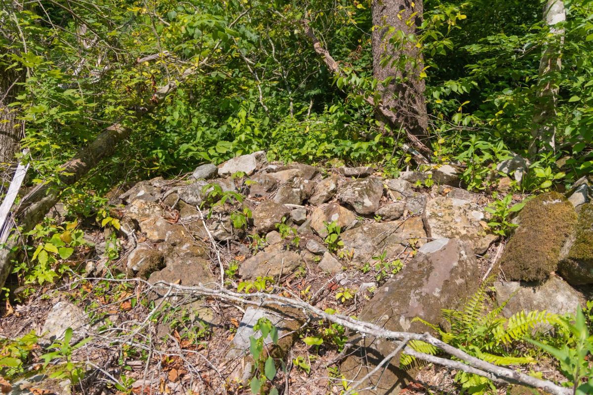 Decorative background for Creek Hollow Phase II Tract 74 image 8