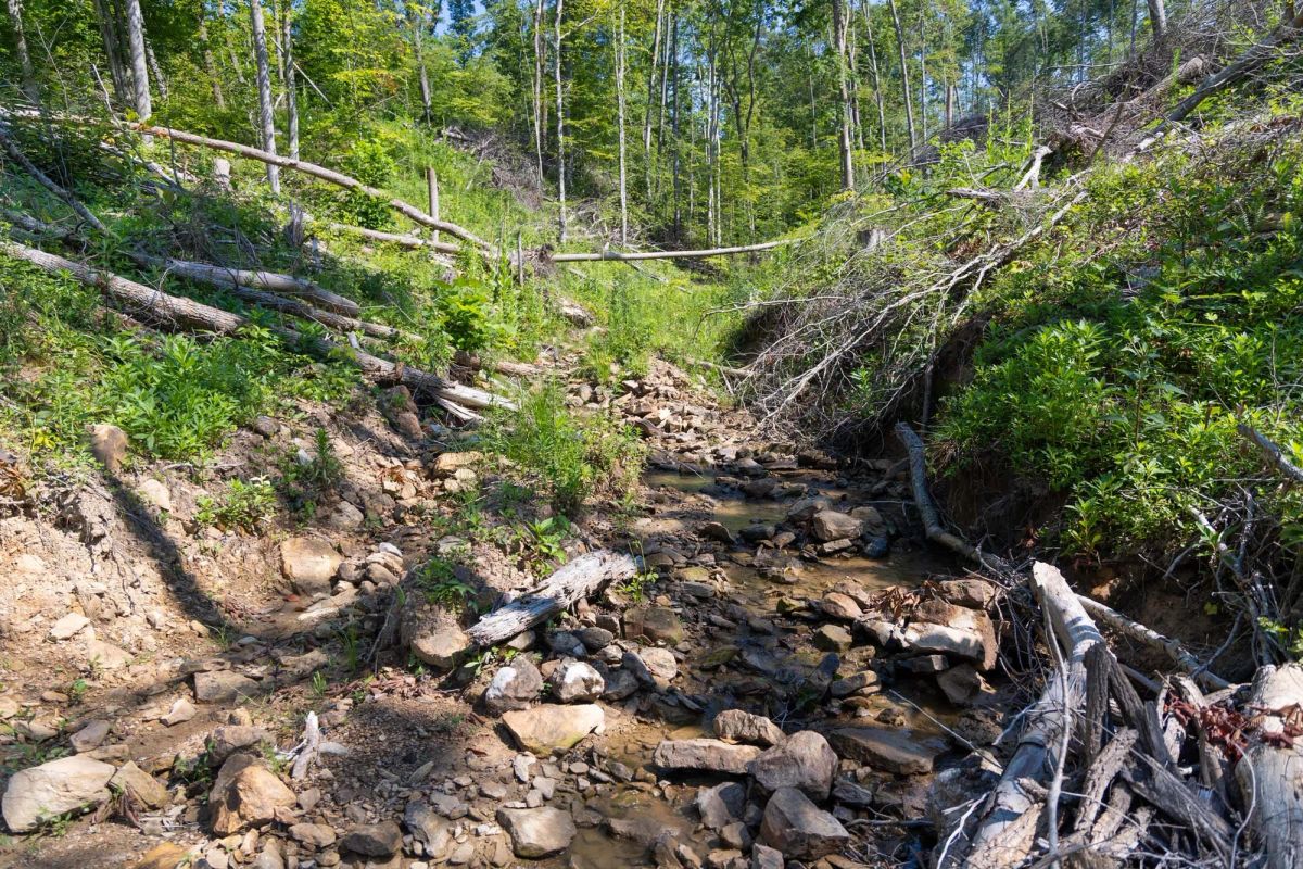 Decorative background for Creek Hollow Phase II Tract 74 image 9