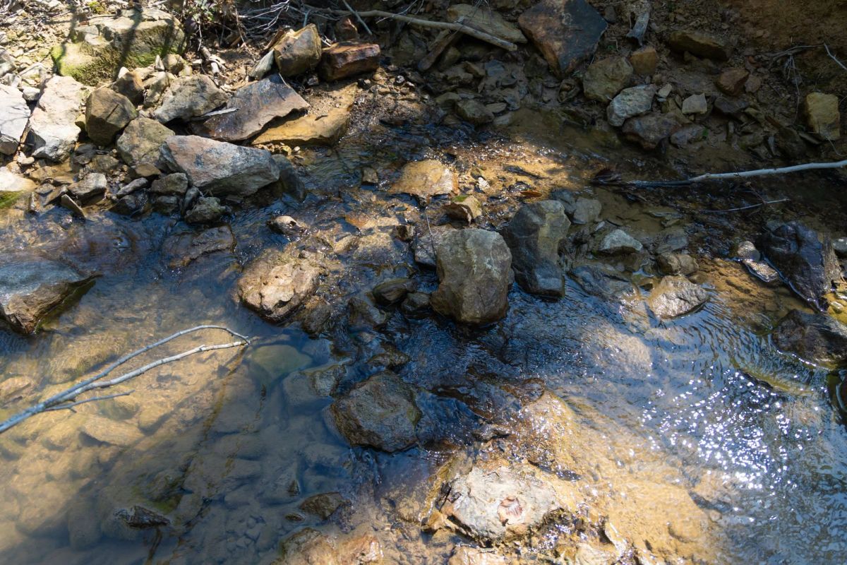 Decorative background for Creek Hollow Phase II Tract 74 image 12