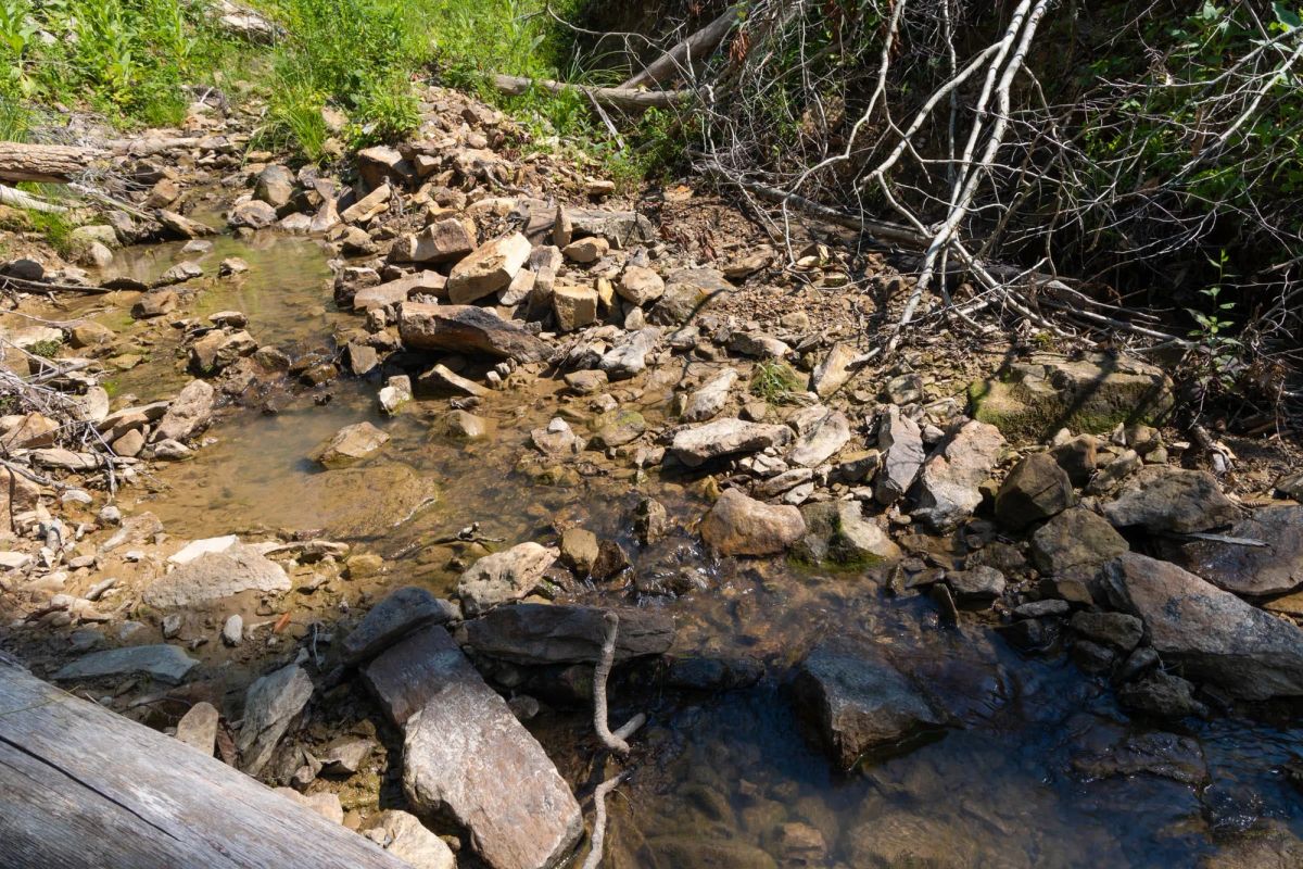 Decorative background for Creek Hollow Phase II Tract 74 image 18