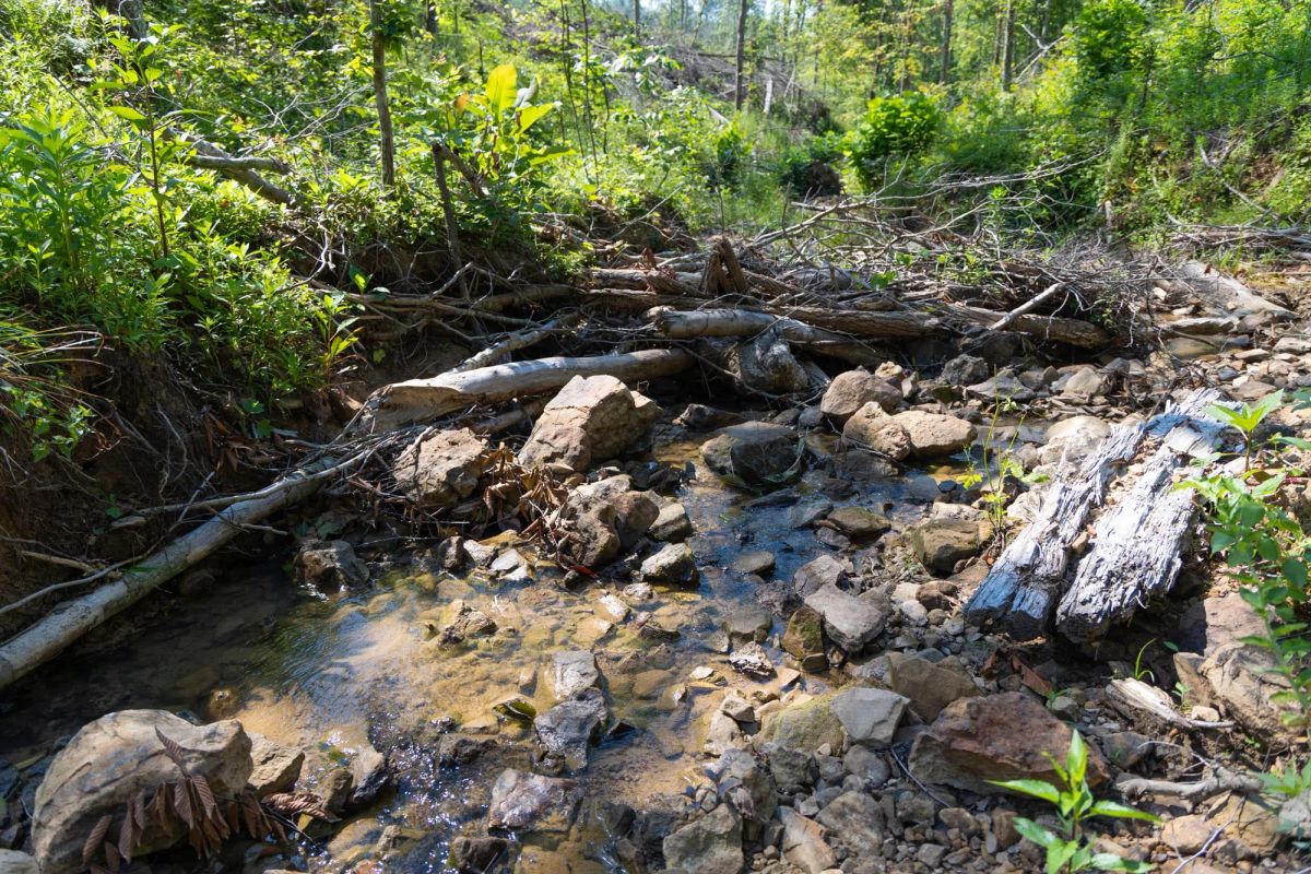 Decorative background for Creek Hollow Phase II Tract 74 image 20