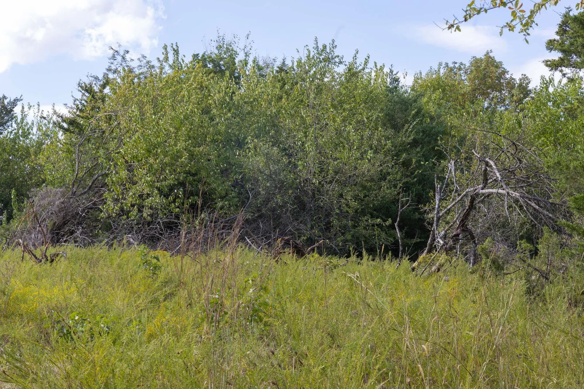 Reserves At Cattail Cove Phase II Tract 43 in Pittsburg County, OK
