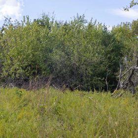 Reserves At Cattail Cove Phase II Tract 43 in Pittsburg County, OK