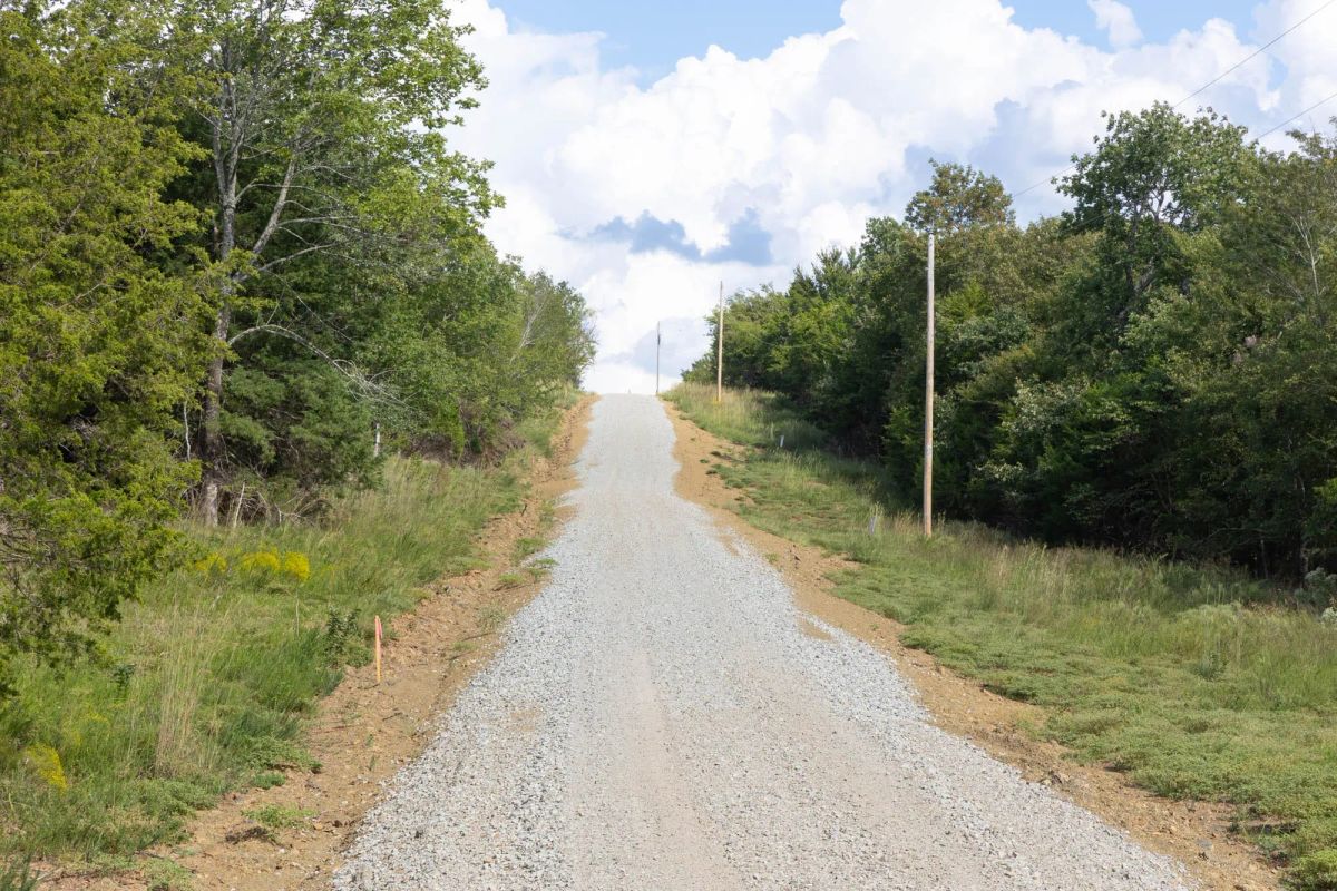 Decorative background for Reserves At Cattail Cove Phase II Tract 43 image 5