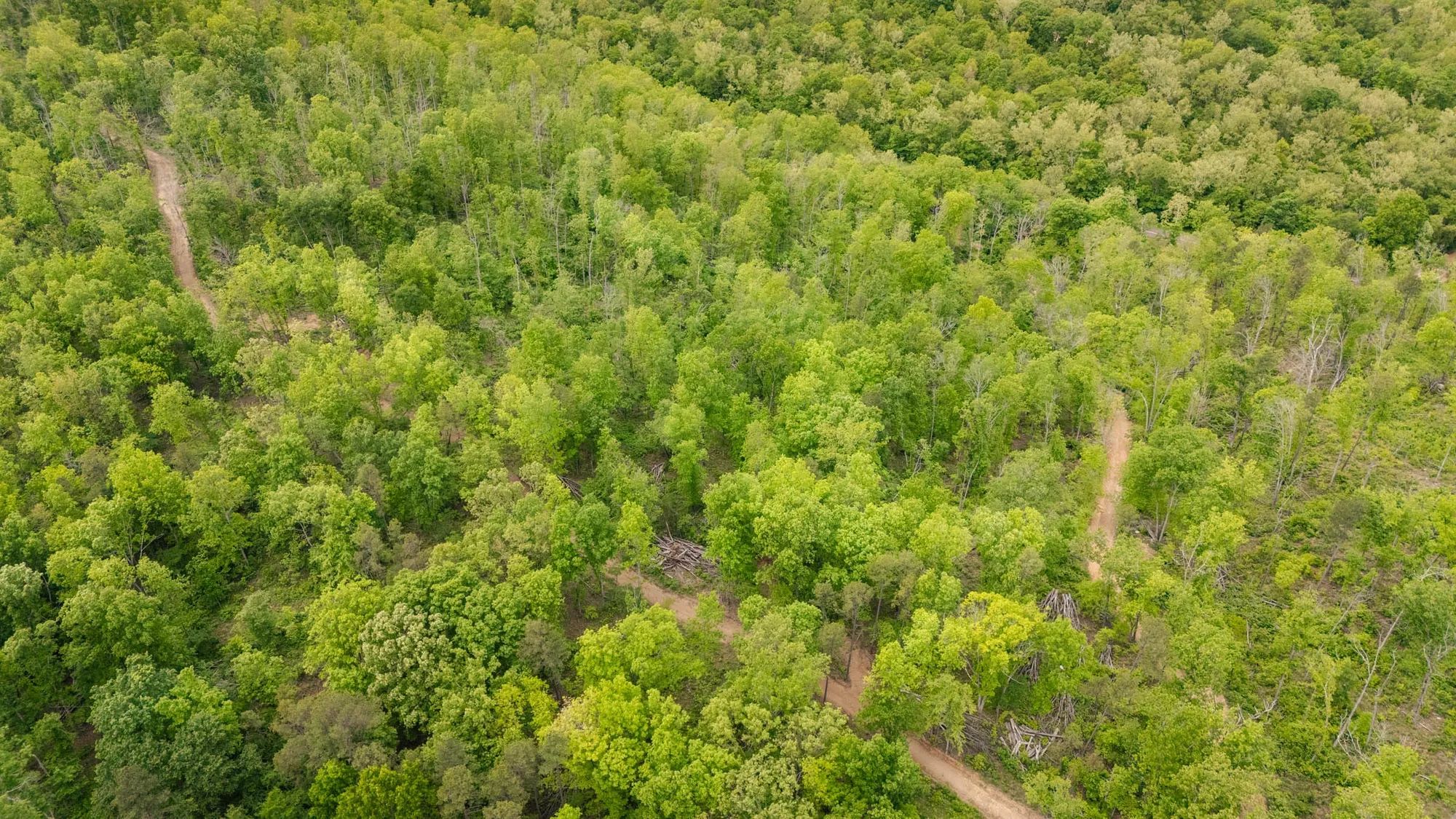 Stardust Estates Tract 13