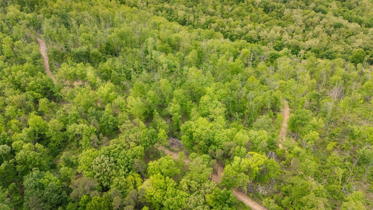 Stardust Estates Tract 13 - Main image