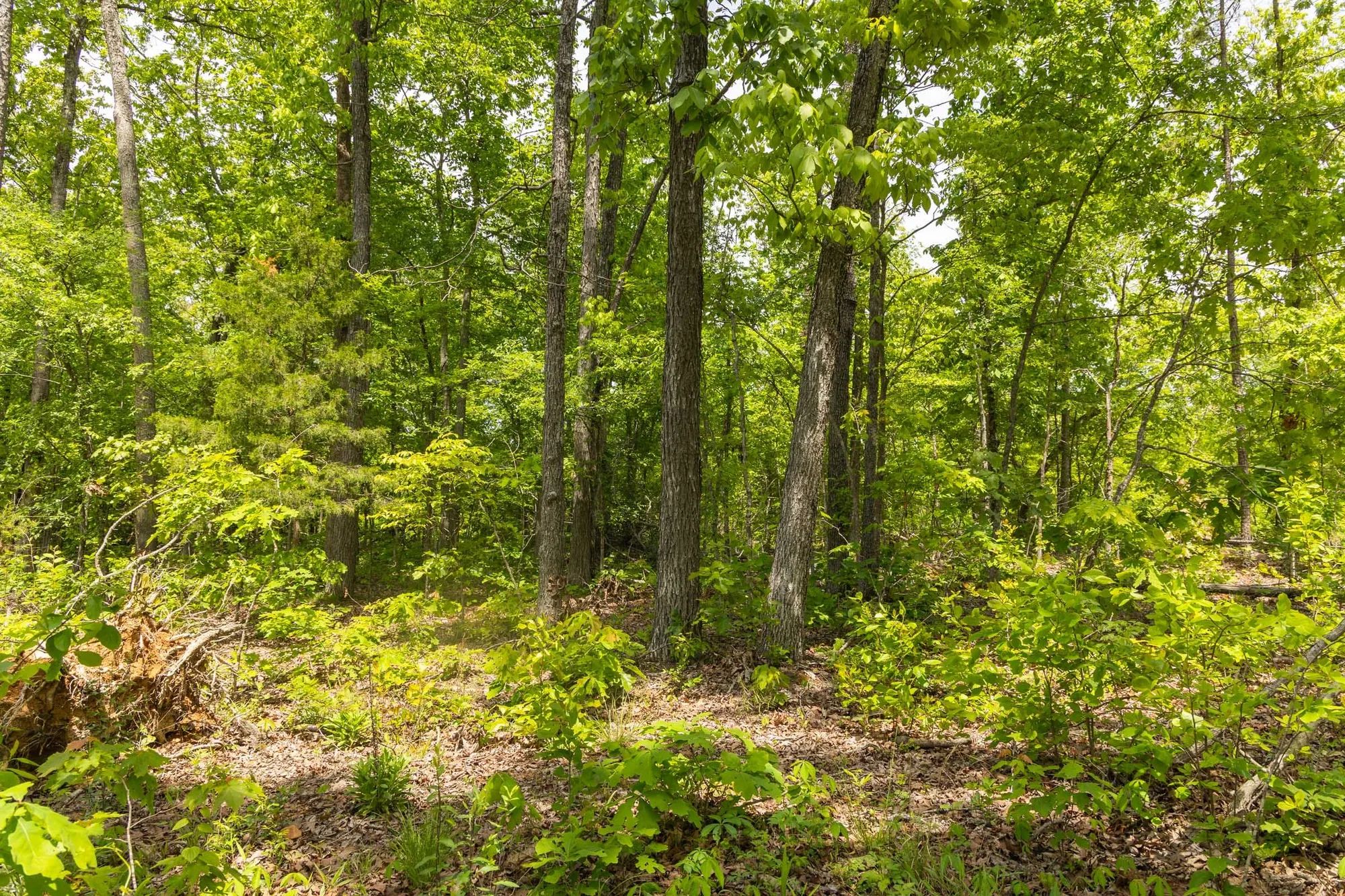 Stardust Estates Tract 13 in Reynolds County, MO