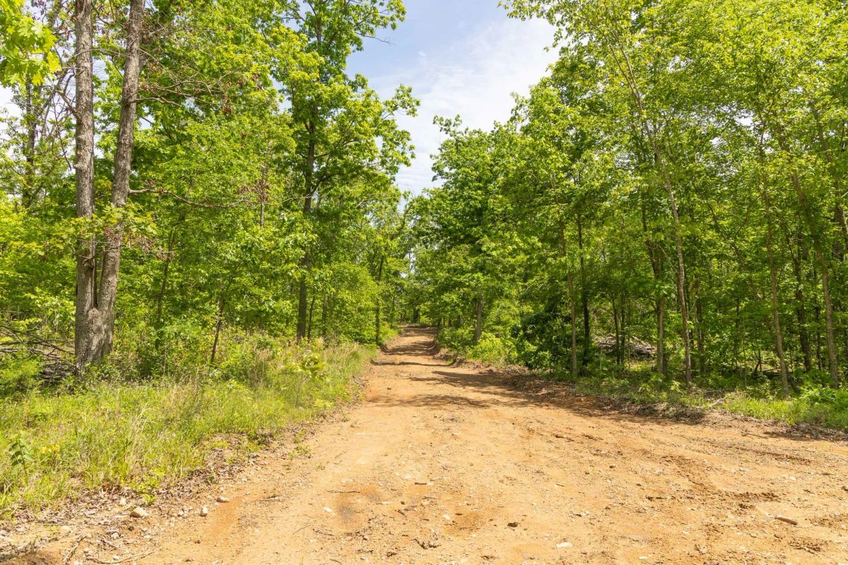 Decorative background for Stardust Estates Tract 13 image 8