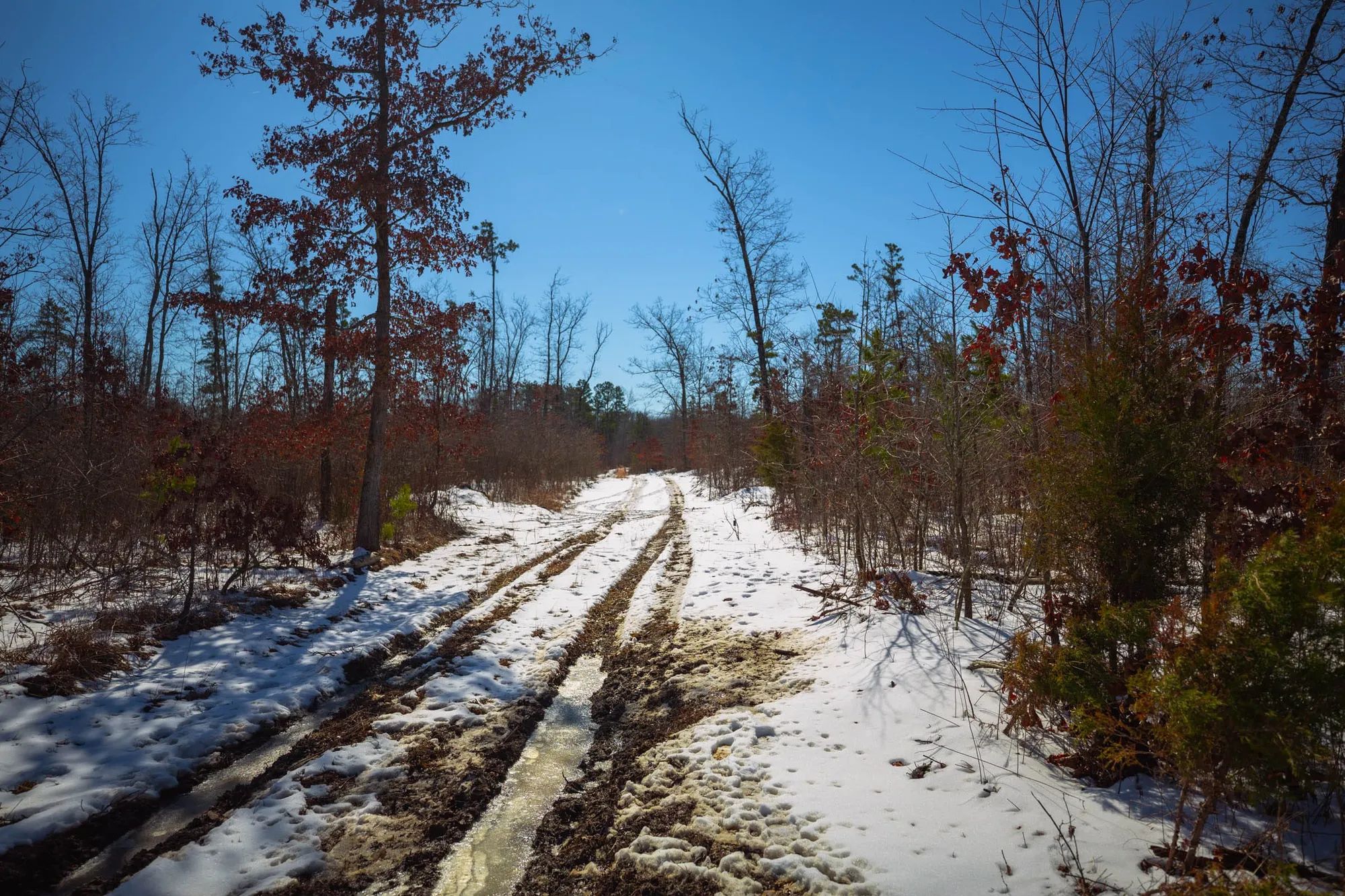 Sleepy Hollow Phase I Tract 27 in Texas County, MO