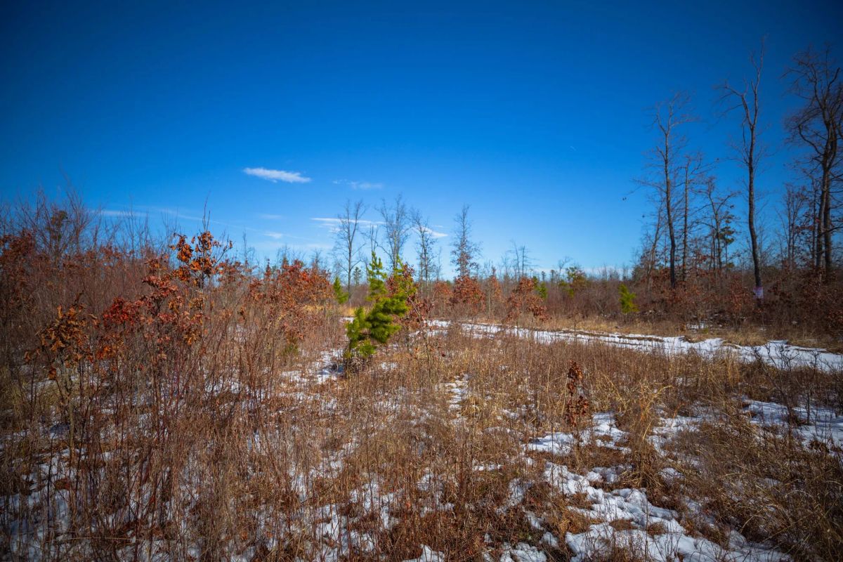 Sleepy Hollow Phase I Tract 27 - Image 4