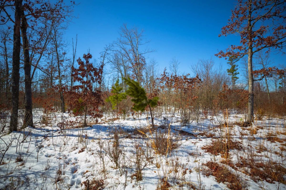 Decorative background for Sleepy Hollow Phase I Tract 27 image 6