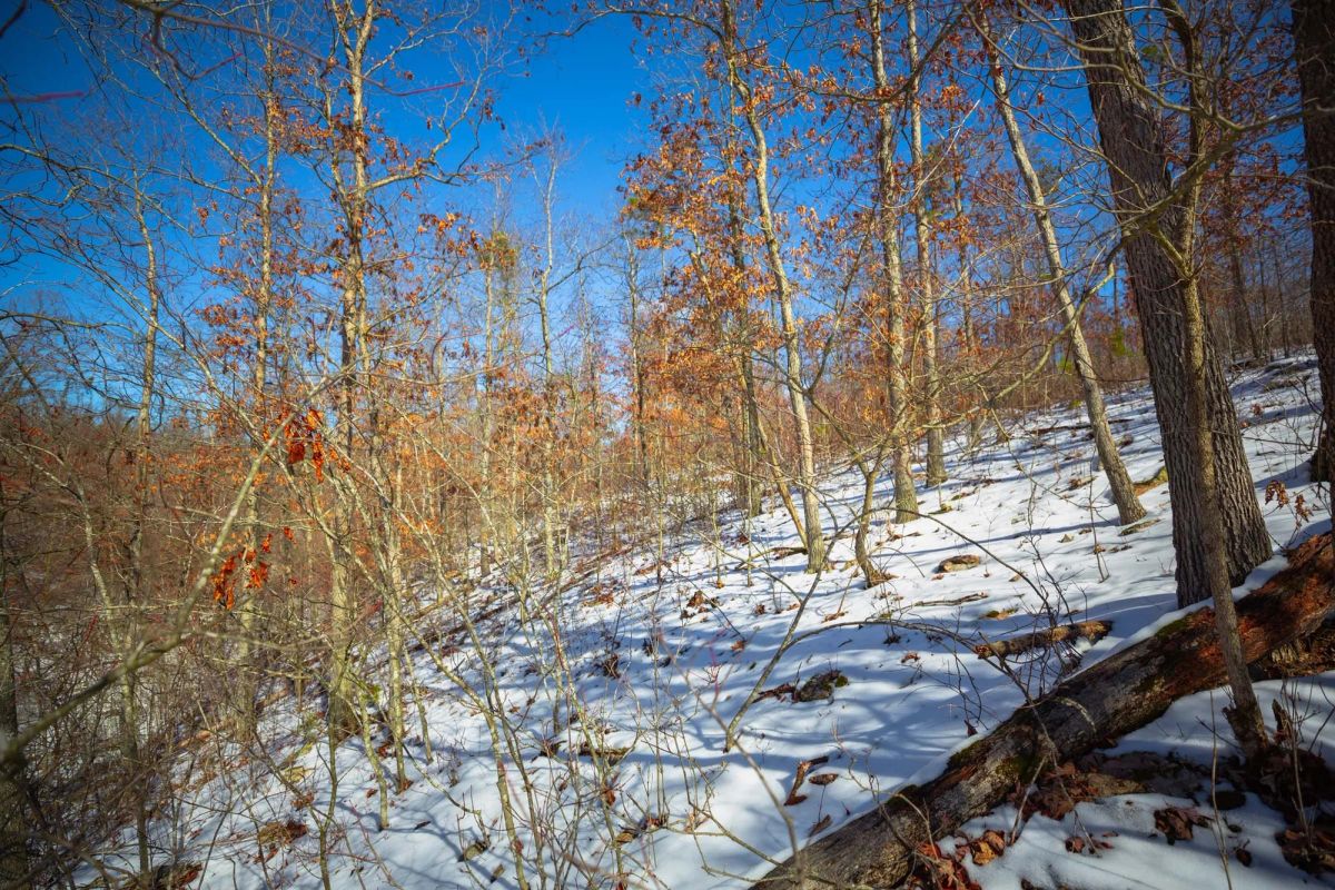 Decorative background for Sleepy Hollow Phase I Tract 27 image 9