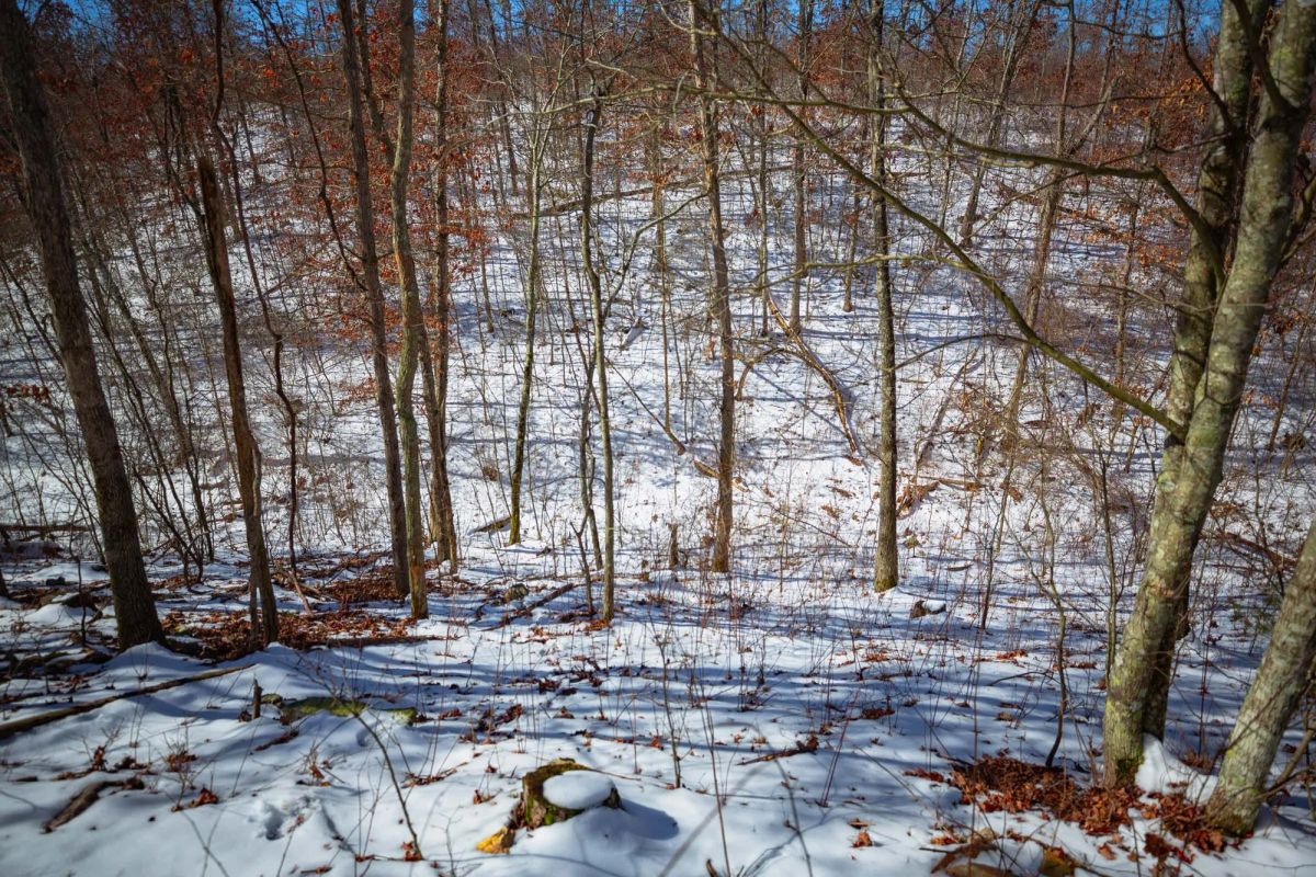 Decorative background for Sleepy Hollow Phase I Tract 27 image 10
